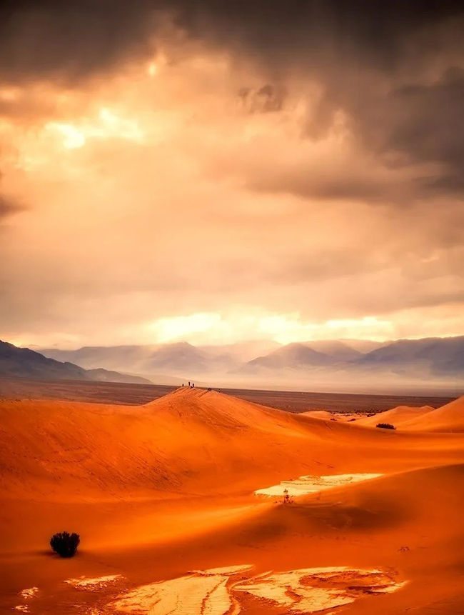 1698223411660999.jpg 640.jpg